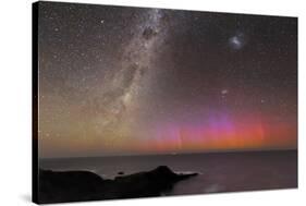 Aurora Australis And Milky Way-Alex Cherney-Stretched Canvas