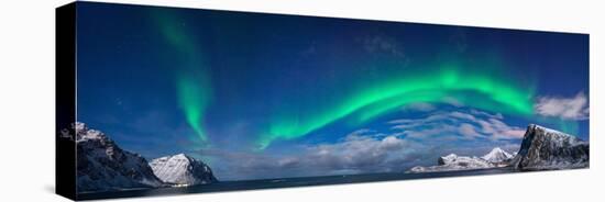 Aurora Borealis Above Flaget Bay, Lofoten, Nordland, Norway-null-Stretched Canvas