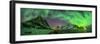 Aurora borealis above Kliptinden mountains, Senja, Norway-Panoramic Images-Framed Photographic Print