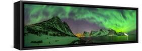 Aurora borealis above Kliptinden mountains, Senja, Norway-Panoramic Images-Framed Stretched Canvas