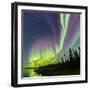 Aurora borealis above silhouetted taiga and Great Slave Lake, Northwest Territories, Canada-Panoramic Images-Framed Photographic Print