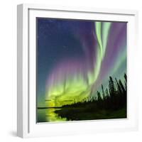 Aurora borealis above silhouetted taiga and Great Slave Lake, Northwest Territories, Canada-Panoramic Images-Framed Photographic Print