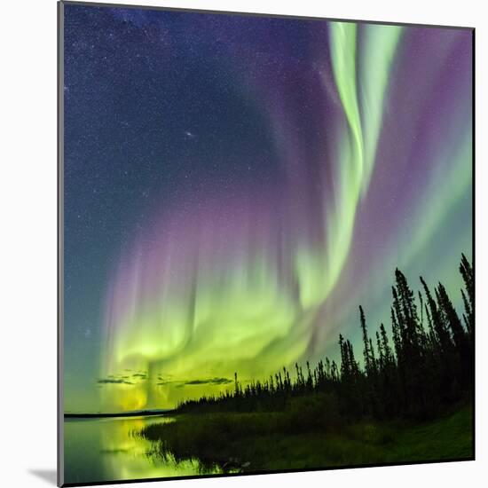 Aurora borealis above silhouetted taiga and Great Slave Lake, Northwest Territories, Canada-Panoramic Images-Mounted Photographic Print