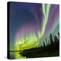 Aurora borealis above silhouetted taiga and Great Slave Lake, Northwest Territories, Canada-Panoramic Images-Stretched Canvas