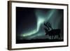 Aurora Borealis And Caribou-Kaj Svensson-Framed Premium Photographic Print