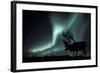 Aurora Borealis And Caribou-Kaj Svensson-Framed Premium Photographic Print