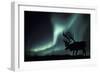 Aurora Borealis And Caribou-Kaj Svensson-Framed Photographic Print