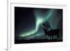 Aurora Borealis And Caribou-Kaj Svensson-Framed Photographic Print