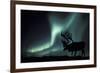 Aurora Borealis And Caribou-Kaj Svensson-Framed Photographic Print