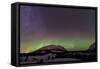Aurora Borealis and Milky Way over Carcross, Yukon, Canada-null-Framed Stretched Canvas