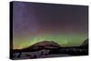 Aurora Borealis and Milky Way over Carcross, Yukon, Canada-null-Stretched Canvas