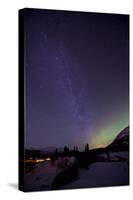 Aurora Borealis and Milky Way over Carcross, Yukon, Canada-null-Stretched Canvas