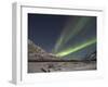 Aurora Borealis, Arctic National Wildlife Refuge, Alaska, USA-Hugh Rose-Framed Premium Photographic Print