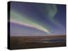 Aurora Borealis, Arctic National Wildlife Refuge, Alaska, USA-Hugh Rose-Stretched Canvas