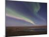 Aurora Borealis, Arctic National Wildlife Refuge, Alaska, USA-Hugh Rose-Mounted Premium Photographic Print