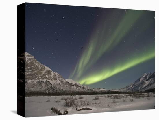 Aurora Borealis, Arctic National Wildlife Refuge, Alaska, USA-Hugh Rose-Stretched Canvas