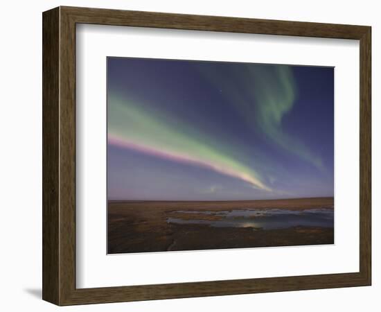 Aurora Borealis, Arctic National Wildlife Refuge, Alaska, USA-Hugh Rose-Framed Photographic Print