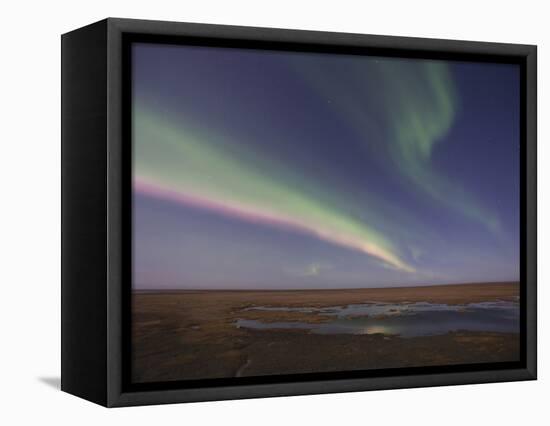 Aurora Borealis, Arctic National Wildlife Refuge, Alaska, USA-Hugh Rose-Framed Stretched Canvas