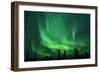 Aurora Borealis at Chena Hot Springs, Fairbanks, Alaska, Usa-Christian Heeb-Framed Photographic Print