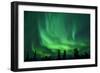 Aurora Borealis at Chena Hot Springs, Fairbanks, Alaska, Usa-Christian Heeb-Framed Photographic Print