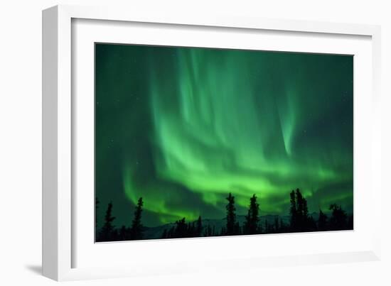 Aurora Borealis at Chena Hot Springs, Fairbanks, Alaska, Usa-Christian Heeb-Framed Photographic Print