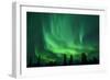 Aurora Borealis at Chena Hot Springs, Fairbanks, Alaska, Usa-Christian Heeb-Framed Photographic Print