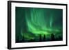 Aurora Borealis at Chena Hot Springs, Fairbanks, Alaska, Usa-Christian Heeb-Framed Photographic Print