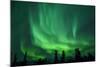 Aurora Borealis at Chena Hot Springs, Fairbanks, Alaska, Usa-Christian Heeb-Mounted Photographic Print