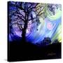 Aurora Borealis Dreaming-Cherie Roe Dirksen-Stretched Canvas