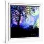 Aurora Borealis Dreaming-Cherie Roe Dirksen-Framed Giclee Print
