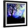 Aurora Borealis Dreaming-Cherie Roe Dirksen-Framed Giclee Print