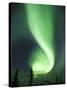 Aurora Borealis, Fairbanks, Alaska, USA-Julie Eggers-Stretched Canvas