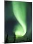 Aurora Borealis, Fairbanks, Alaska, USA-Julie Eggers-Mounted Photographic Print