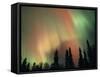 Aurora Borealis, Fairbanks Area, Alaska, USA-Kevin Schafer-Framed Stretched Canvas