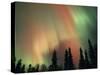 Aurora Borealis, Fairbanks Area, Alaska, USA-Kevin Schafer-Stretched Canvas