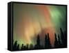 Aurora Borealis, Fairbanks Area, Alaska, USA-Kevin Schafer-Framed Stretched Canvas