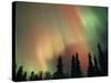 Aurora Borealis, Fairbanks Area, Alaska, USA-Kevin Schafer-Stretched Canvas