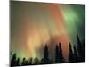 Aurora Borealis, Fairbanks Area, Alaska, USA-Kevin Schafer-Mounted Photographic Print