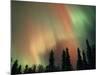 Aurora Borealis, Fairbanks Area, Alaska, USA-Kevin Schafer-Mounted Photographic Print