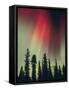 Aurora Borealis, Fairbanks Area, Alaska, USA-Kevin Schafer-Framed Stretched Canvas