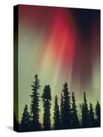 Aurora Borealis, Fairbanks Area, Alaska, USA-Kevin Schafer-Stretched Canvas