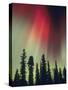 Aurora Borealis, Fairbanks Area, Alaska, USA-Kevin Schafer-Stretched Canvas