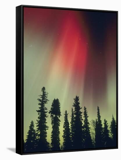 Aurora Borealis, Fairbanks Area, Alaska, USA-Kevin Schafer-Framed Stretched Canvas