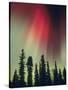 Aurora Borealis, Fairbanks Area, Alaska, USA-Kevin Schafer-Stretched Canvas