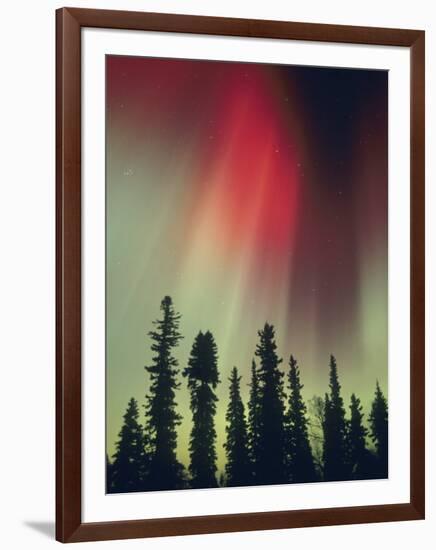 Aurora Borealis, Fairbanks Area, Alaska, USA-Kevin Schafer-Framed Photographic Print