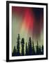 Aurora Borealis, Fairbanks Area, Alaska, USA-Kevin Schafer-Framed Photographic Print