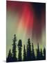 Aurora Borealis, Fairbanks Area, Alaska, USA-Kevin Schafer-Mounted Photographic Print