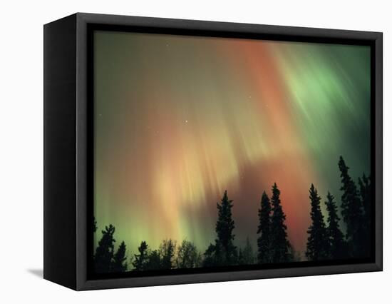 Aurora Borealis, Fairbanks Area, Alaska, USA-Kevin Schafer-Framed Stretched Canvas