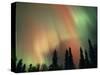 Aurora Borealis, Fairbanks Area, Alaska, USA-Kevin Schafer-Stretched Canvas