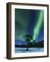 Aurora Borealis, Forramarka, Troms, Norway-Stocktrek Images-Framed Photographic Print